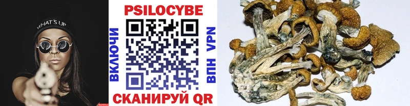 Галлюциногенные грибы ЛСД  наркошоп  Буй 